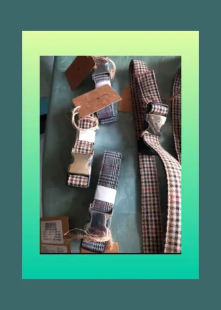 Cinture Brandy Melville fantasia