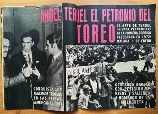 El ruedo 1437. 4 de enero 1972. El toro de lidia.