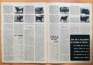 El ruedo 1437. 4 de enero 1972. El toro de lidia.