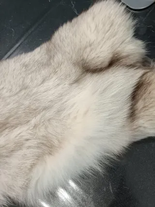 Pelliccia. Beige/Grigio Taglia 48