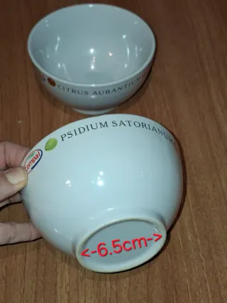 2 cuencos de cerámica blancos