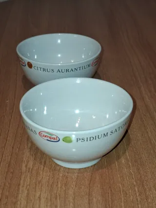 2 cuencos de cerámica blancos