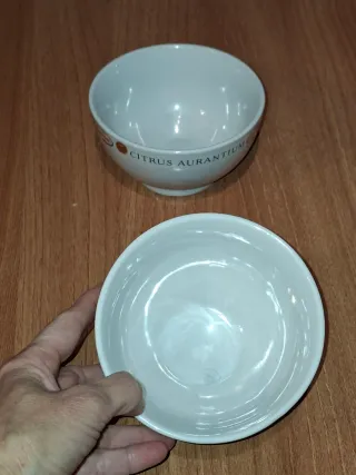 2 cuencos de cerámica blancos