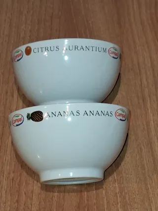 2 cuencos de cerámica blancos