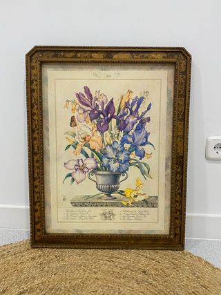 Lámina enmarcada Iris Yuriko Takata