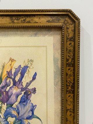 Lámina enmarcada Iris Yuriko Takata