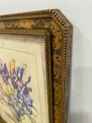 Lámina enmarcada Iris Yuriko Takata