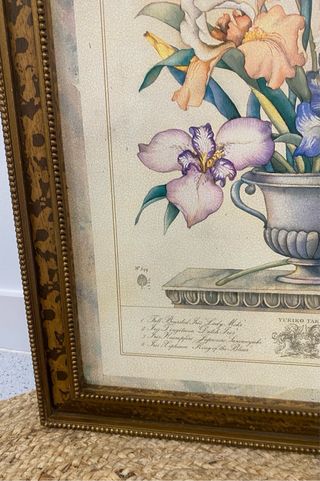 Lámina enmarcada Iris Yuriko Takata