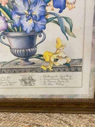 Lámina enmarcada Iris Yuriko Takata