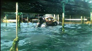 Servicios subacuáticos náuticos