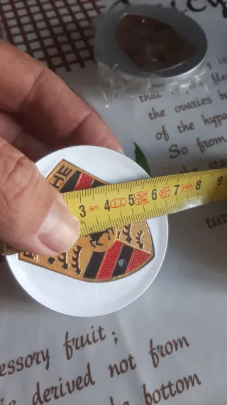 4 Tapas de Rueda Porsche fris plata y oro