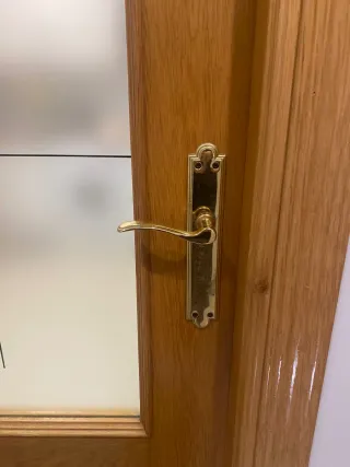 Puerta interior acristalada de roble maciza