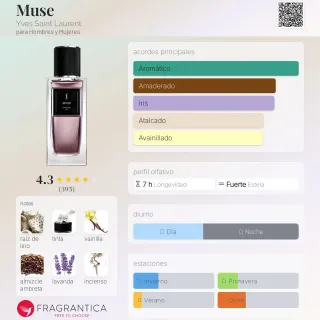 Perfume Muse Yves Saint Laurent 75ml