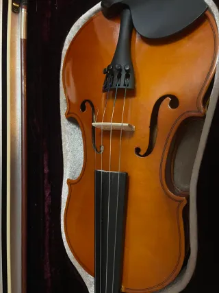 Violín con funda y arco