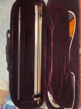 Violín con funda y arco