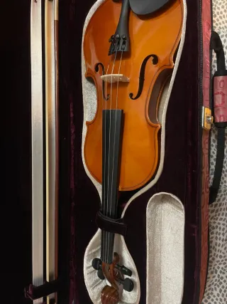 Violín con funda y arco