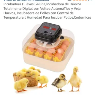 Incubadora Digital Huevos Pollos Codornices