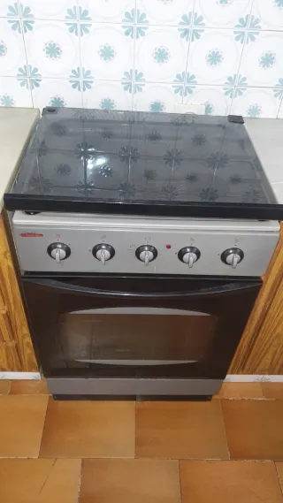 Cocina Mixta Gas y Horno Eléctrico