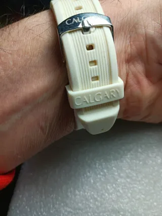 Reloj de cuarzo blanco y plateado