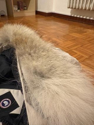 Bomber Canada Goose Beige