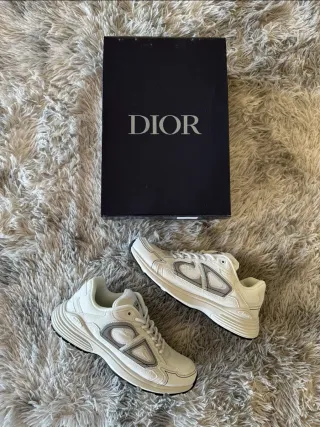 Dior B30 Grises