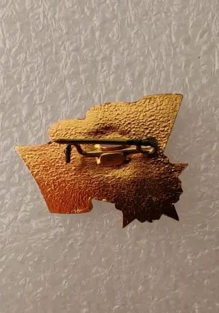 Spilla URSS Sovietica 1917