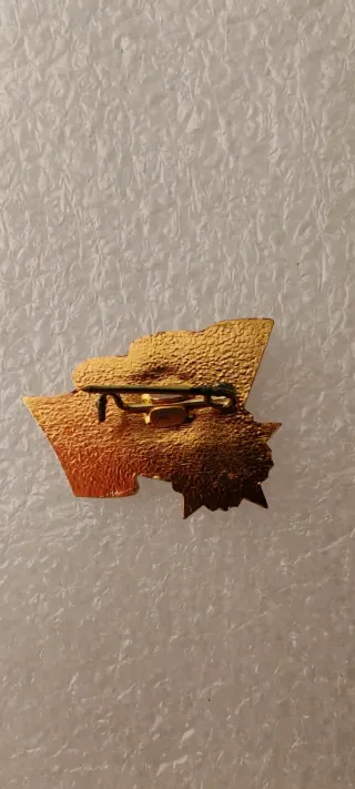 Spilla URSS Sovietica 1917