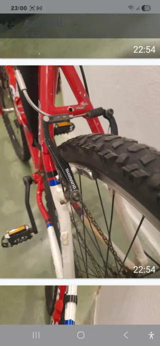 Bicicleta de Montaña