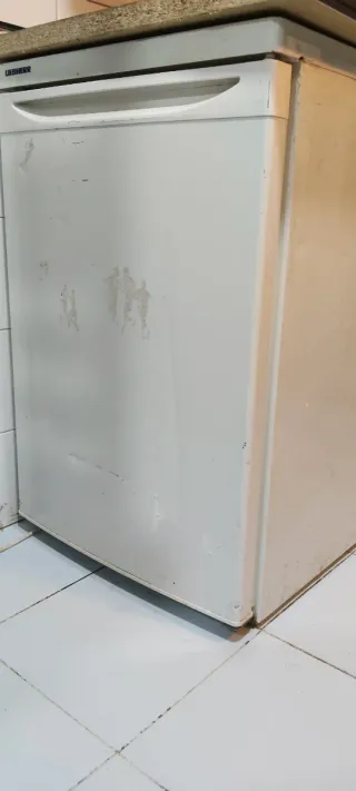 Nevera Liebherr con congelador interior,muy util