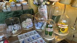 Vitrina capula campana de cristal.