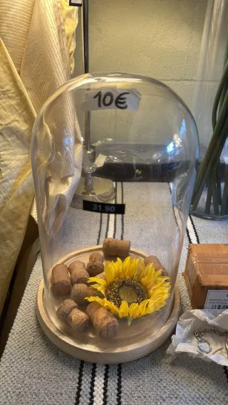 Vitrina capula campana de cristal.