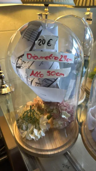 Vitrina capula campana de cristal.