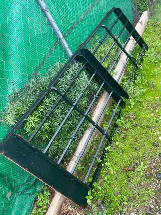 Puerta reja de hierro verde