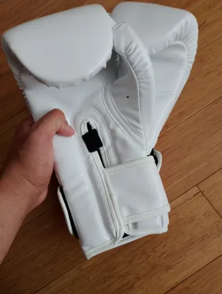 Guantes Fairtex 10 oz Muay Thai Nuevos