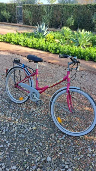 Bicicleta Señora Clásica Dinamo y Luz