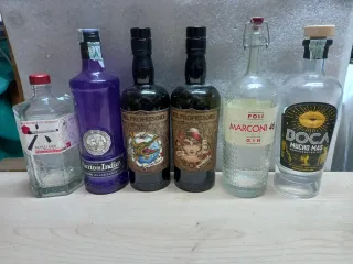 Bottiglie di Gin Vuote - 6 Pezzi