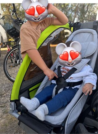 Asiento Hauck para remolque bici bebé