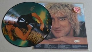 LOTE DE DISCOS DE VINILO