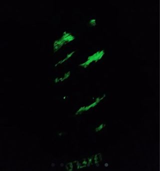 Monopatín con diseño de lobo