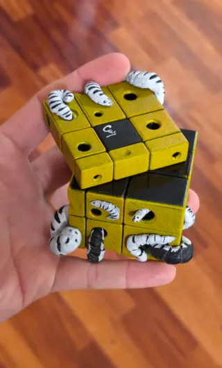 RUBIK MIRROR (con gusanos)