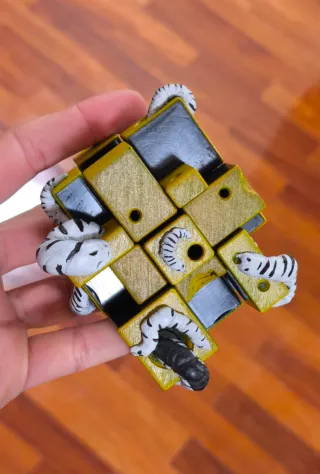 RUBIK MIRROR (con gusanos)