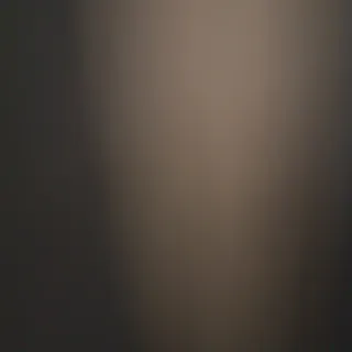 Blusón gasa azul marino talla 50