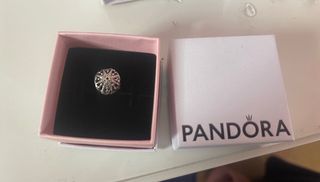 Charm Pandora Plata