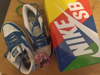 Zapatillas Nike SB Hombre