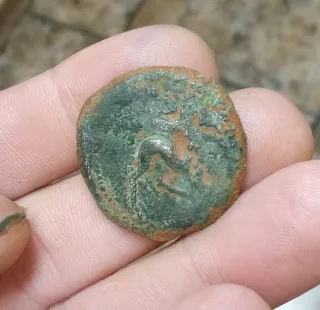 Moneda Ibérica Antigua