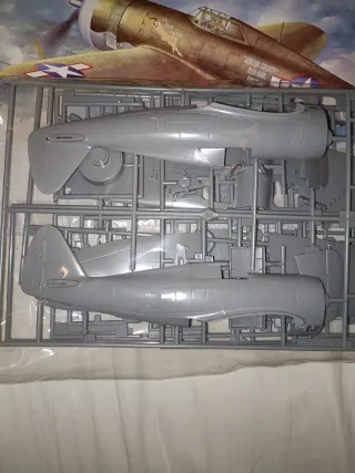 Aereo Kit Republic P-47D Razorback Hasegawa 1/48