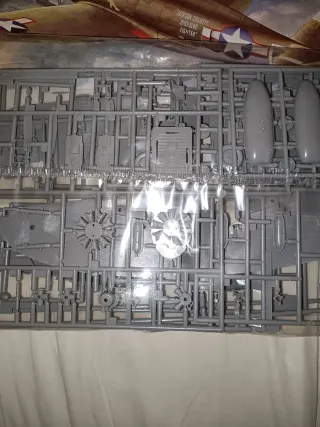 Aereo Kit Republic P-47D Razorback Hasegawa 1/48