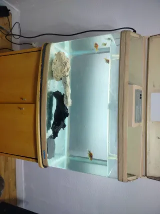 Acuario 110L con mueble