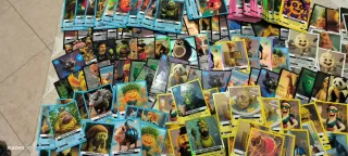 Carte Italian Brainrot Trading Card Game