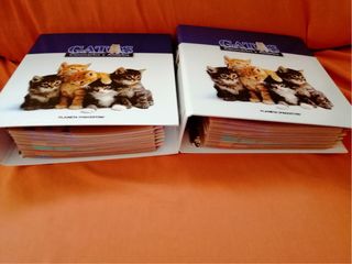 Coleccionable Gatos Planeta DeAgostini